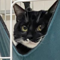 𝙠𝙖 (@___ll21) 's Twitter Profile