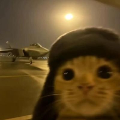 AyarsiZZ_Bey's profile picture. Metalhead, gamer, Netflix N' Spoti enjoyer, martial artist, cat lover