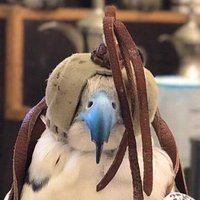 راكان (@ragad25l) 's Twitter Profile