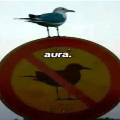 Azka_0425's profile picture. Not korean @ryuk4su🐸