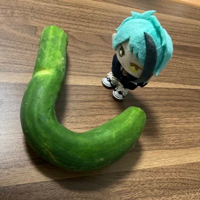 のりを🪺さんのプロフィール画像