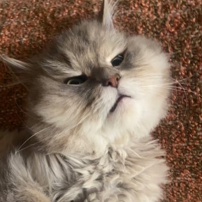 1948769K72852's profile picture. 