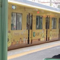 しぐま (@siguma_589) Twitter profile photo