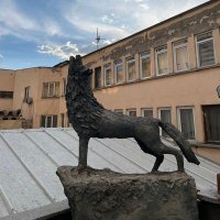 Alp Güngör (@mudi622758) Twitter profile photo