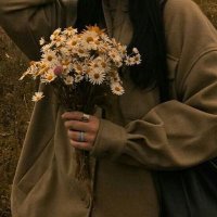 Sofía (@sofxniz) 's Twitter Profile