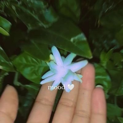 not_goodji's profile picture. NA