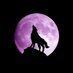 Wolf (@stev40625) Twitter profile photo Wolf (@stev40625) Twitter profile photo