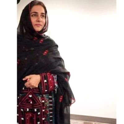 Ameerr_Sajidi's profile picture. Student of Law. 
Belong to an oppressed and marginalized nation of 21st century.