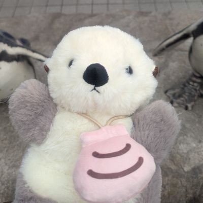 ななこさんのプロフィール画像
