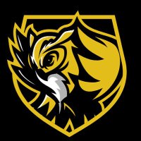 Kesteren Esports (@kesterenesports) 's Twitter Profile