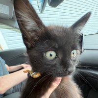Bug (@bigbugbignews) 's Twitter Profile