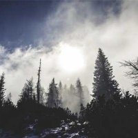 Joseph Smith (@josephsmi40317) 's Twitter Profile
