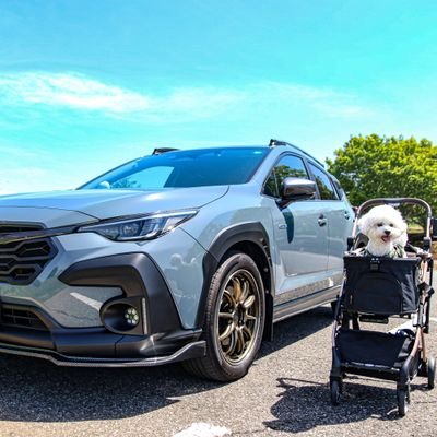 yuu5485's profile picture. 9歳と6歳姉妹の子育てスバリストです！？2歳のビション・フリーゼも一緒に暮らしてます🐶　ドライブ・洗車　カメラ📸 甘いもの🍰お馬🐎
　swift sport →LEVORG GT-S →WRX S4 STI sport→CROSSTREK　/　📷canon EOS80D