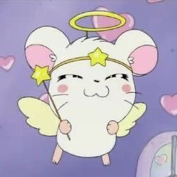 いのりん🫧さんのプロフィール画像