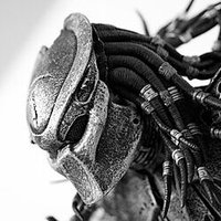 The Predator (@eljefe912) 's Twitter Profile Photo The Predator (@eljefe912) 's Twitter Profile Photo