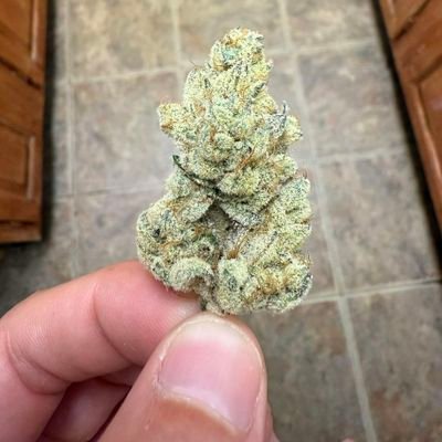 wisconsin85123's profile picture. Weeddelivery  we just a DM 👇📩away