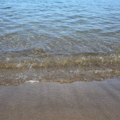 salmon26851's profile picture. 05\無言フォロー失礼します/巨人ファン\12球団🙆‍♀️/