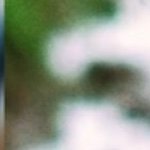 EKiwUUM12p4jgm's profile picture. 