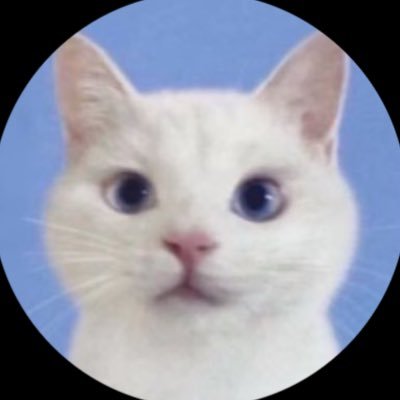 kirakirashota05's profile picture. どんなときも飛んでいくよ☁️ˆ- ̫-ˆ