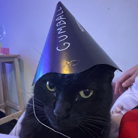 Isa_rd's profile picture. Born this way 🌈