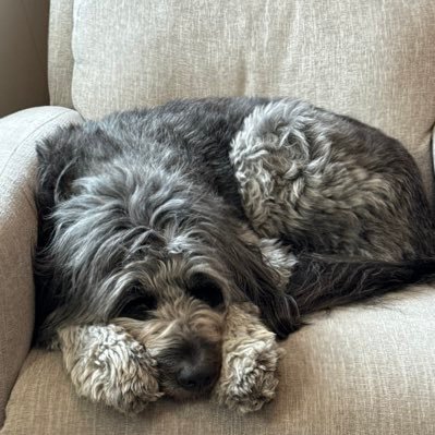 Ty17856470685's profile picture. 