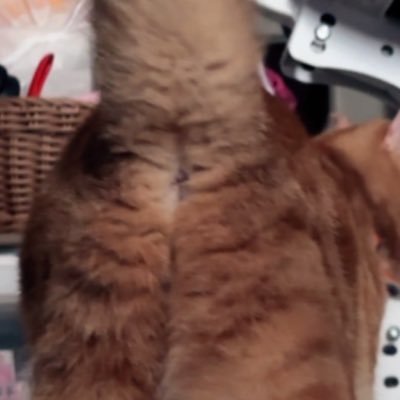 うtghっxgxgっぃさんのプロフィール画像