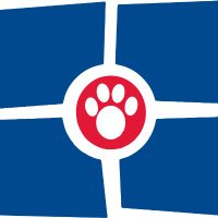 indyacs (@indyacs) 's Twitter Profile