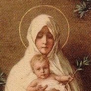 As vidas dos Santos de Deus: citações diárias de frases atribuídas aos Santos da Santa Igreja Católica. Somos todos chamados a essa mesma santidade.