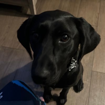 JDPdocdad Profile