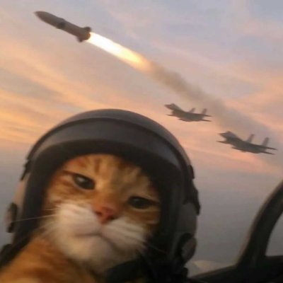 LandOf661's profile picture. 