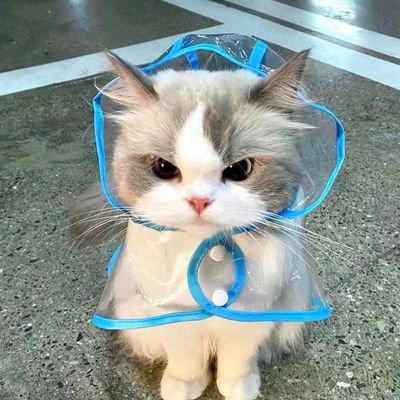 ysnaraaa's profile picture. Welcome to my digital diary💭 
Here for the chaotic good & deep dives into literally anything. Sometimes it's a rant, sometimes a story. ₊˚.༄