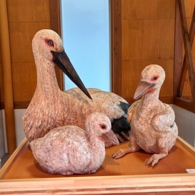 しふぉんさんのプロフィール画像