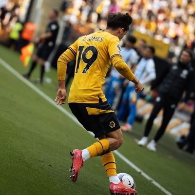 harrisonwwfc's profile picture. Wolves | 21