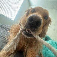 Garthy (@__garthy__) 's Twitter Profile