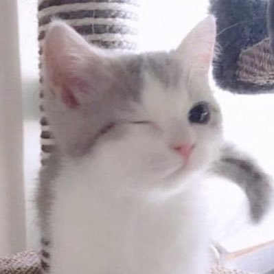 o_ov0z's profile picture. 취저를 찾아다닙니다 💕