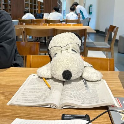 ca28li02's profile picture. slu rmt 💉🩸| md 2029 ⚕ | #studytwtph #booktwt