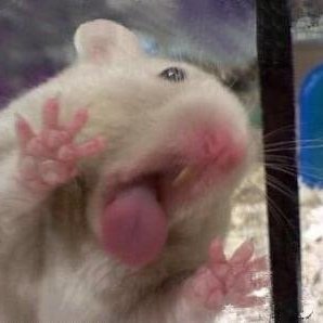 _C341's profile picture. 판을 넘나드는 구독계