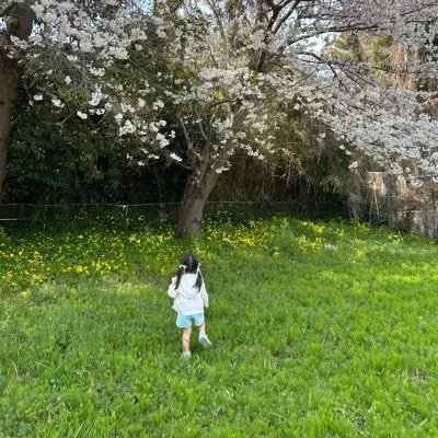 かなこさんのプロフィール画像