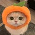 ปิ่นรักแมว (@thayyratr62294) Twitter profile photo ปิ่นรักแมว (@thayyratr62294) Twitter profile photo