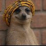 tadbitmad01's profile picture. || Proud Indian | Comedian | Writer | Poet | Atheist | Phone 📸 | Trying to make people 🤣 since the 80's | Best Joke, I am in HR 😐||