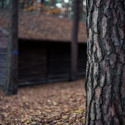 docsach67's profile picture. 