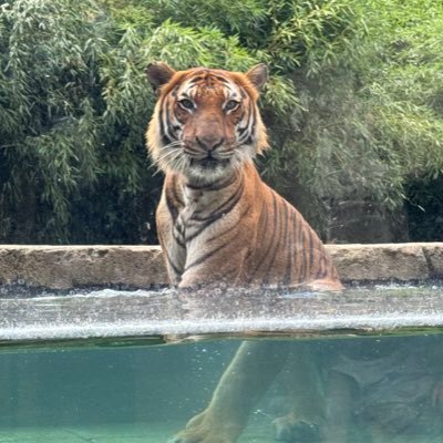 Marebear209's profile picture. Mommy. Wife. Ninja.                                        Why are you trying so hard to fit in when you were born to stand out?