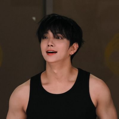 svtcarrotdeul13's profile picture. in this diamond shit for life