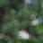 ace11356's profile image