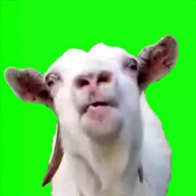 Lick Goat CTO Profile
