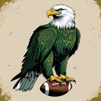 Josey High School Football (@joseyfootball) 's Twitter Profile