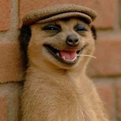 Remsmarty's profile picture. just me......

being me!

working for me 👨‍⚖️