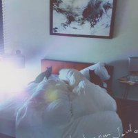 61 (@sgmonmcdtym) 's Twitter Profile