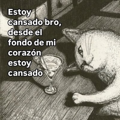 chipotles714's profile picture. Interiorista y persona encargada de los toques eléctricos. Corazón de mimbre.