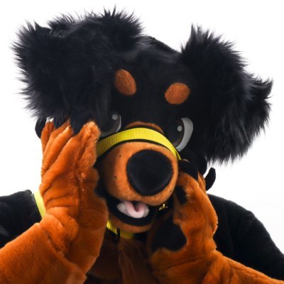 I’m Bronco, a playful, cheeky Rottweiler with a dominant streak who also enjoys being led by someone who knows what they're doing. 😉